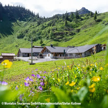 Laden Sie das Bild in den Galerie-Viewer, Bergkäse Alpe Latons 2022
